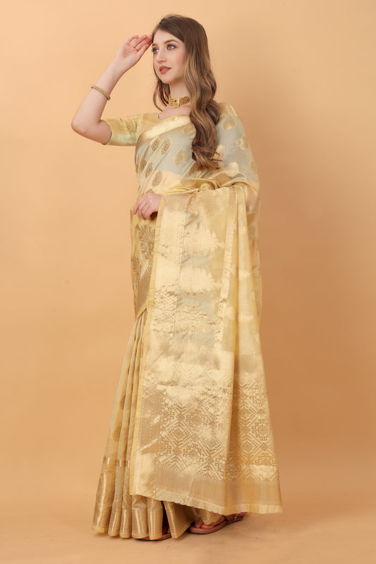 Soft Organza Silk saree