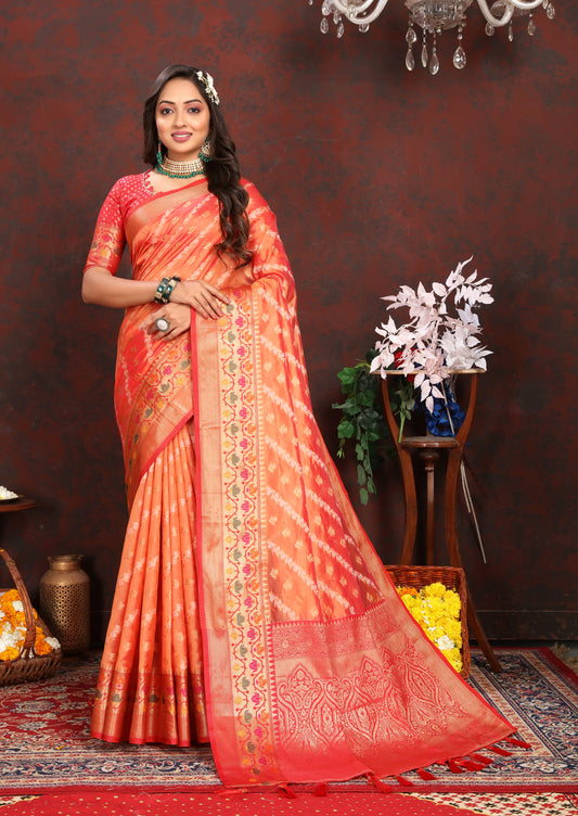 Soft Organza silk saree